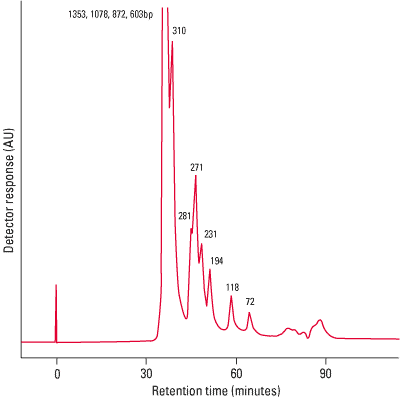 sw4000swxl_fig1.png